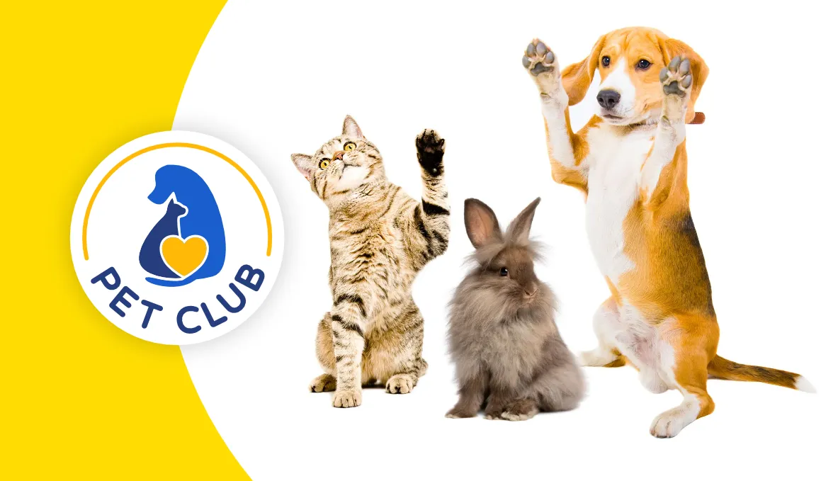 Pet Club